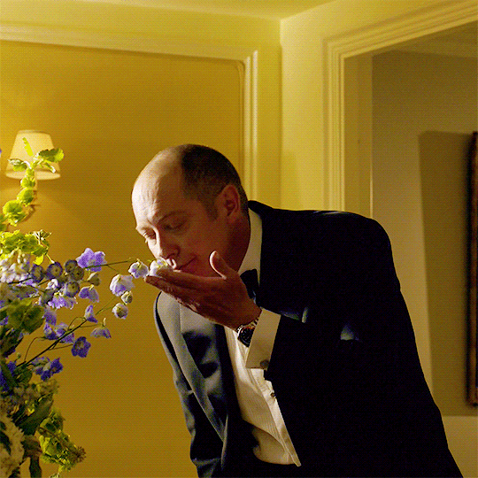 JAMES SPADER // RAYMOND REDDINGTON